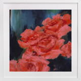 Coral Roses Fine Art Prints