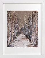 Aspen Grove Fine Art Prints
