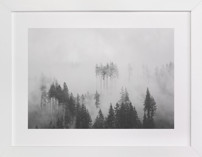 Morning Fog Fine Art Prints