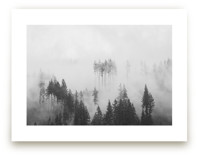 Morning Fog by Jennifer Morrow