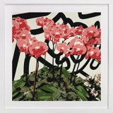 Abstract Orchids Fine Art Prints