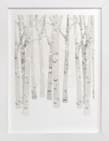 Birch Woods in Winter Fine Art Prints