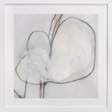 Southern Cotton Single Bloom Square Fine Art Prints