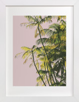 Poster Palms Fine Art Prints