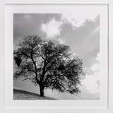 Twisted In Time Fine Art Prints