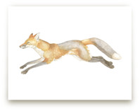 Swift Fox by Natalie Groves