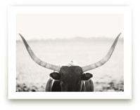 Limited Edition Fine Art Print 1