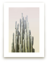 Summer Yellow Cactus by Wilder California