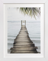bocas del toro Fine Art Prints