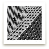 Squares and Lines by Brian Collins