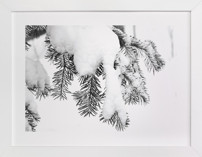 Caked 2 Fine Art Prints