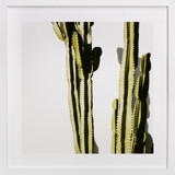 Green Guy Fine Art Prints