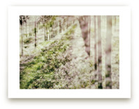 Into The Dream by Gabrial Reising