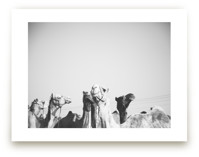 Leader of the Pack by Heather Marie