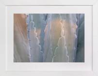 Etched Two Fine Art Prints