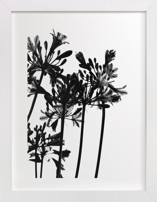 High Drama Fine Art Prints