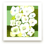 green garden by Tae Lee