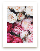 peony palette by Marabou Design