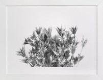 I Remember Fine Art Prints