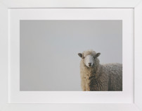 Uncle Pumblechuck Fine Art Prints