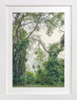 Adventure Time Fine Art Prints