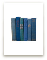 Bound in Blue by Sheila Corcoran