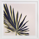 Palm Study #1 Fine Art Prints