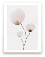 Limited Edition Fine Art Print 1