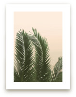 Tropical Palm Tree by Wilder California