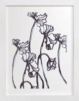 Ink Cyclamen Fine Art Prints