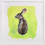 Wild Rabbit Fine Art Prints