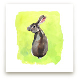 Wild Rabbit by Betty Hatchett