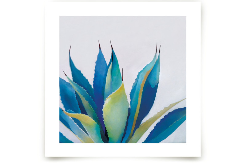 Blue Agave Fine Art Prints by Amanda Phelps Minted