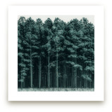 through the trees by Keely Norton Owendoff