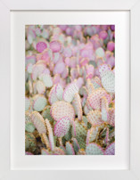 PINK CACTI Fine Art Prints