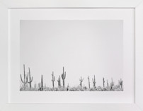 Carnegie Gigantic Fine Art Prints