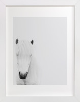 Dalla Fine Art Prints