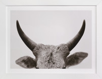 Jane Gallagher No. 2 Fine Art Prints