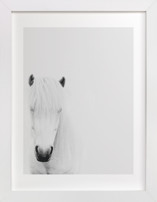 Dalla Fine Art Prints