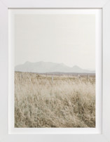 highland prairie III Fine Art Prints