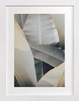 Metal Leaves Fine Art Prints