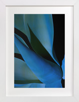Electric Blues 1 Fine Art Prints