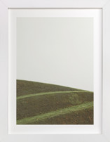 Swooped II Fine Art Prints