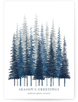 Misty Pines by Kelly Benson