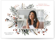 Holiday Botanicals by amanda lawrence