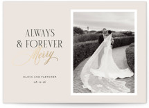 always & forever Foil-Pressed Holiday Cards