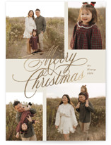 Elegant Four Foil-Pressed Holiday Cards