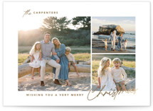 Chic trio Foil-Pressed Holiday Cards