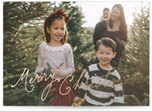 classic Christmas Foil-Pressed Holiday Cards