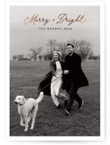 Bright Script Foil-Pressed Holiday Cards